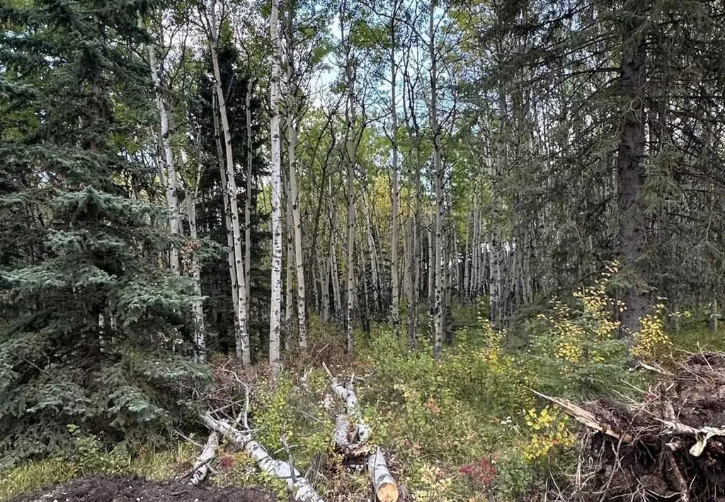 52 Elkstone Way Rural Rocky View County AB T4C2Y8