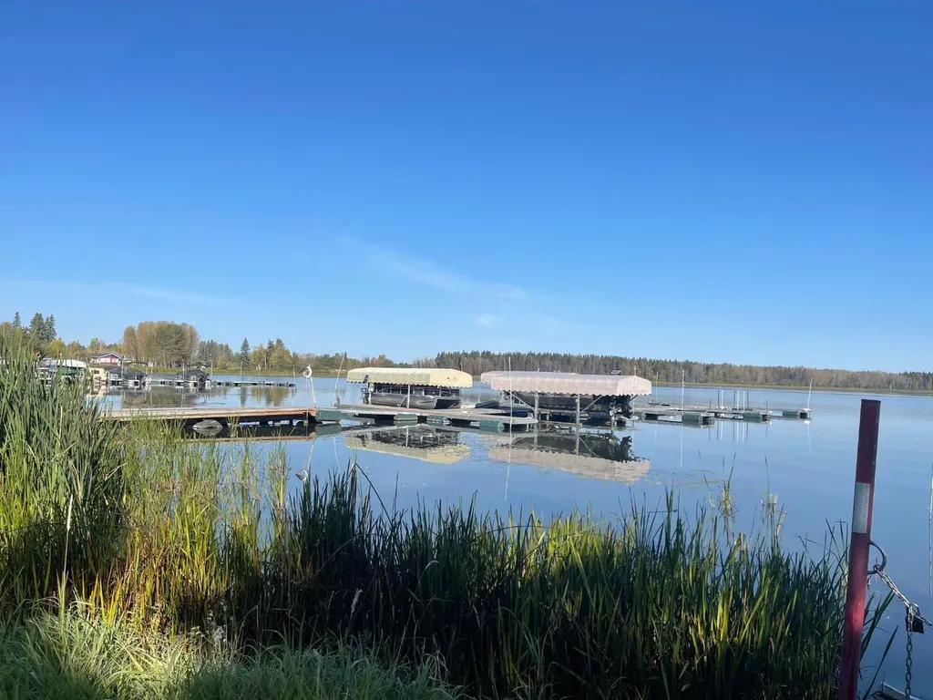 400 465015 Range Road 63a Buck Lake AB T0C 0T0