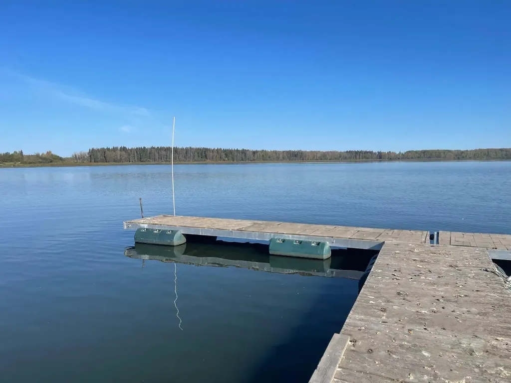 400 465015 Range Road 63a Buck Lake AB T0C 0T0