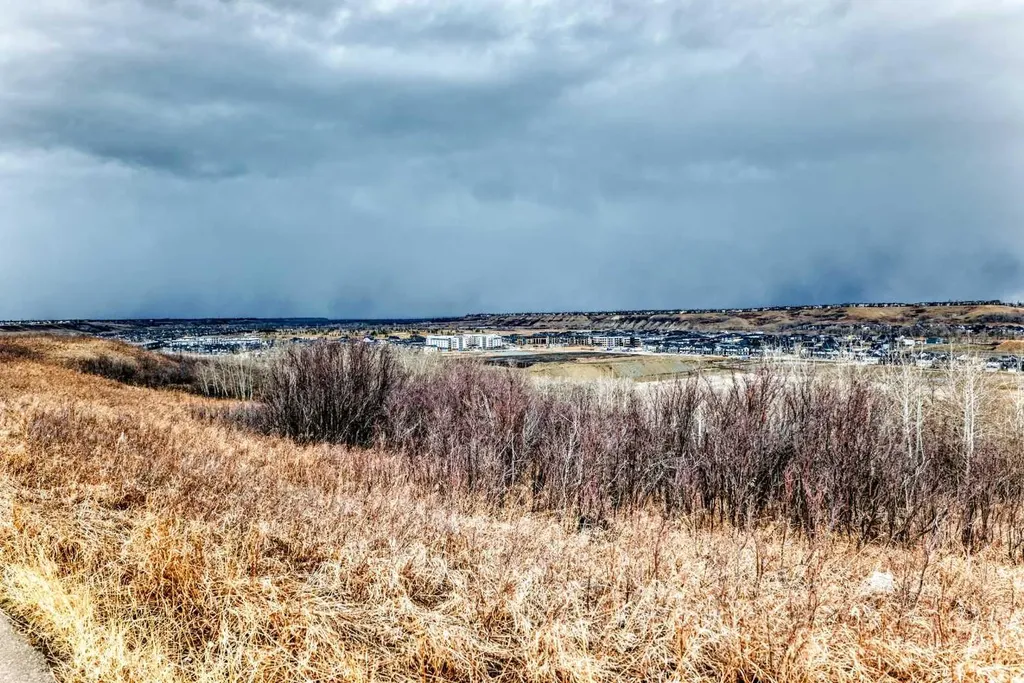 64 Walcrest View SE Calgary AB T2X 4G3