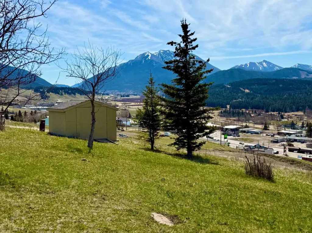 8142 26 Avenue Coleman AB T0K0M0
