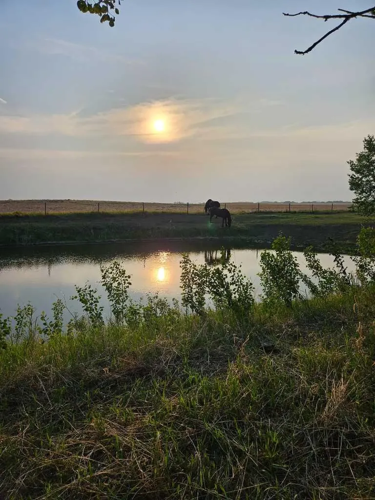 47020 Range Road 162 Rural Beaver County AB T0B1A0
