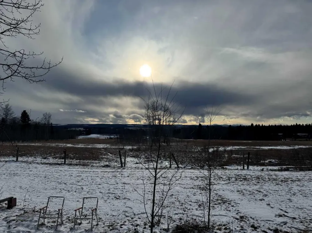 5227 Township Road 320 Rural Mountain View County AB T0M 1X0