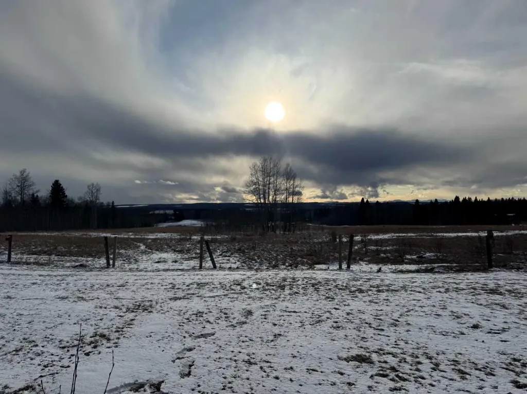 5227 Township Road 320 Rural Mountain View County AB T0M 1X0