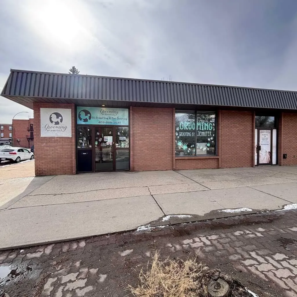 340A Maple Avenue SE Medicine Hat AB T1A 7L5