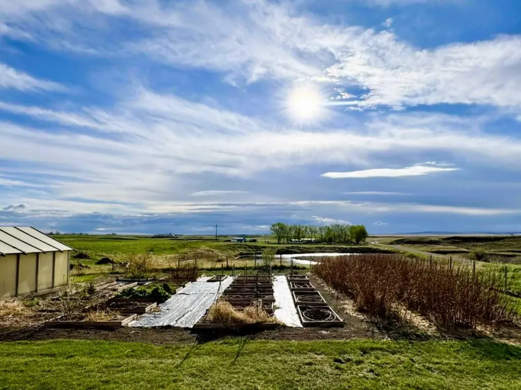 234016 Township Road 262 Rural Wheatland County AB T0J 2R0