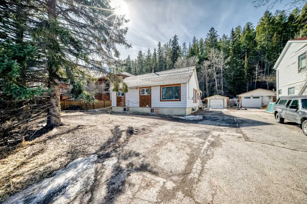 231 Three Sisters Drive Canmore AB T1W 2M4