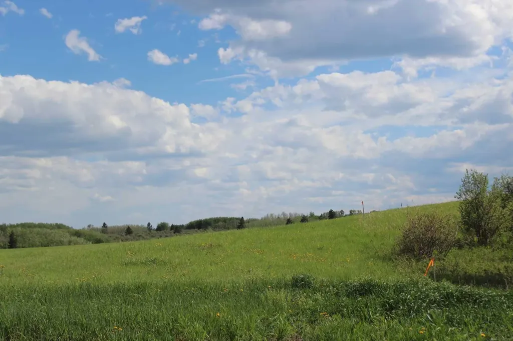 32079 Willow Way Rural Rocky View County AB T4C 2Y4
