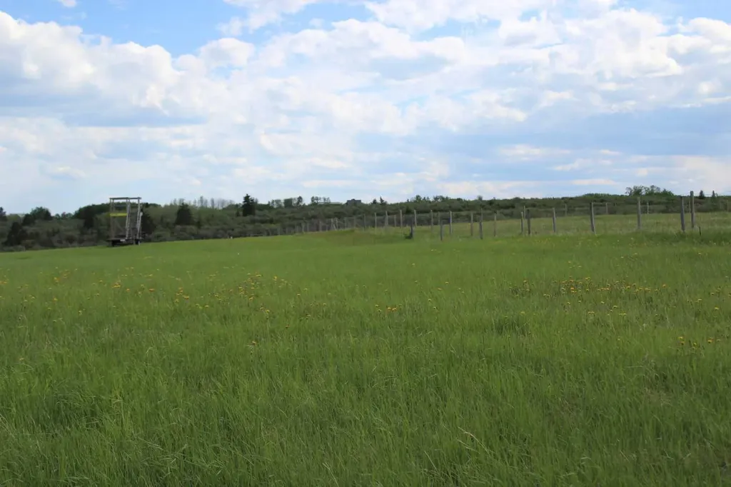 32079 Willow Way Rural Rocky View County AB T4C 2Y4