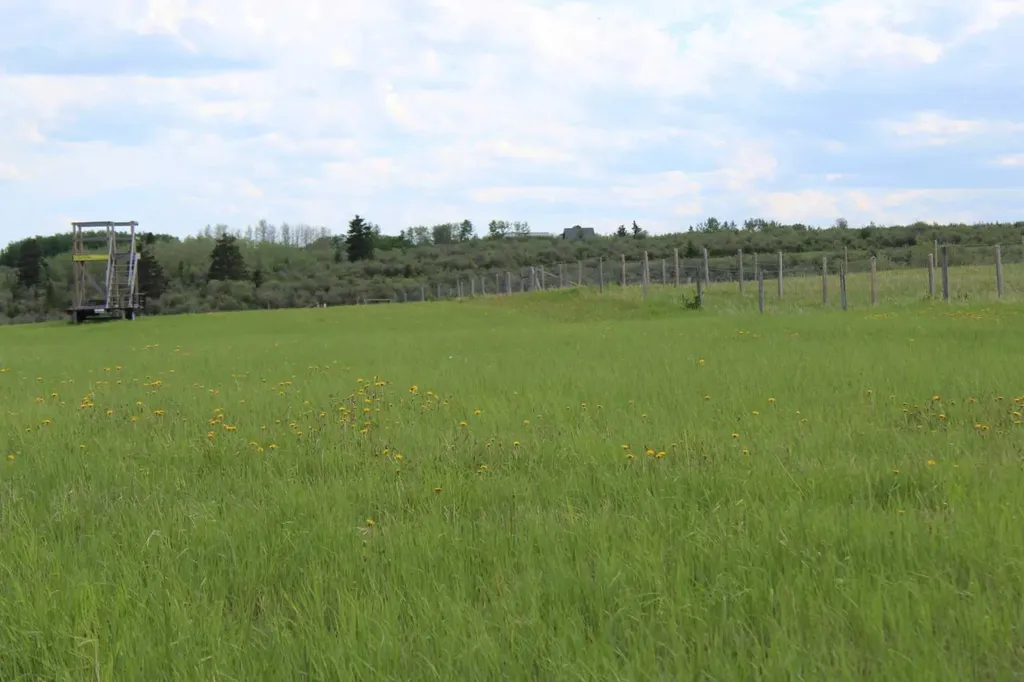 32079 Willow Way Rural Rocky View County AB T4C 2Y4