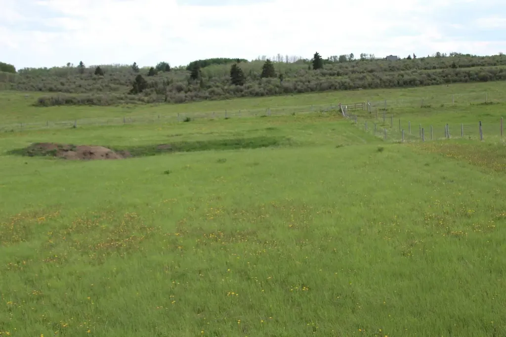32079 Willow Way Rural Rocky View County AB T4C 2Y4