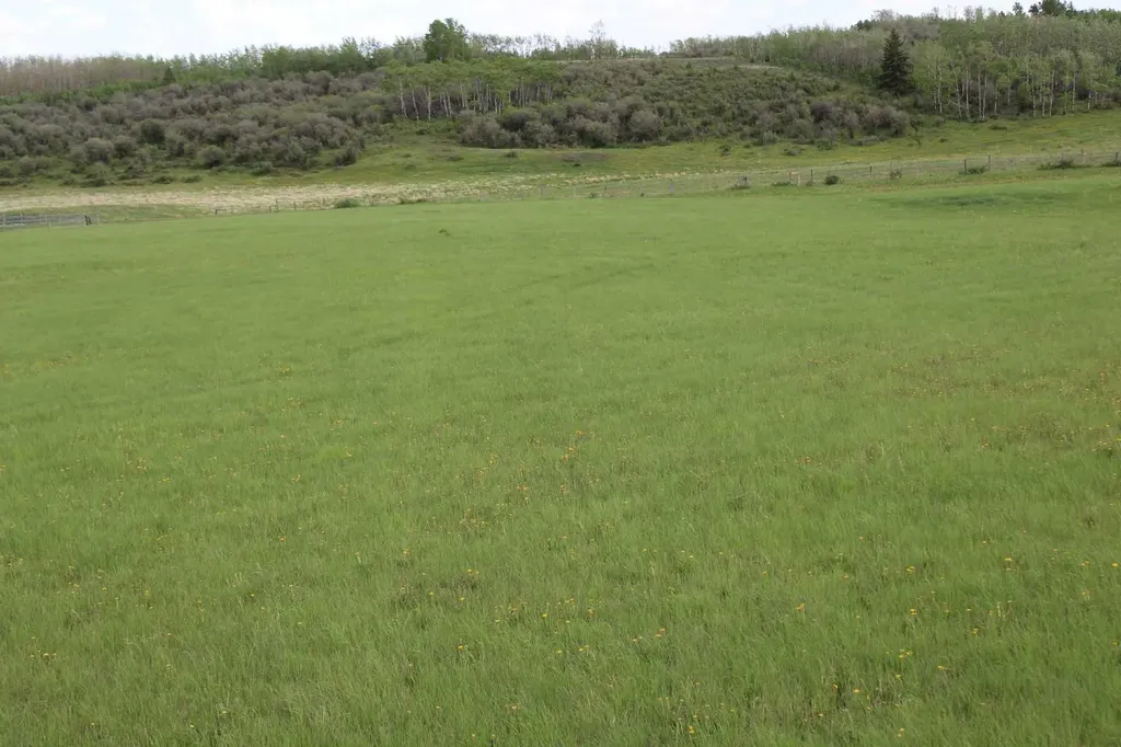 32079 Willow Way Rural Rocky View County AB T4C 2Y4