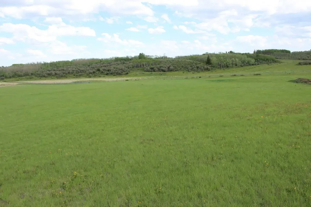 32079 Willow Way Rural Rocky View County AB T4C 2Y4