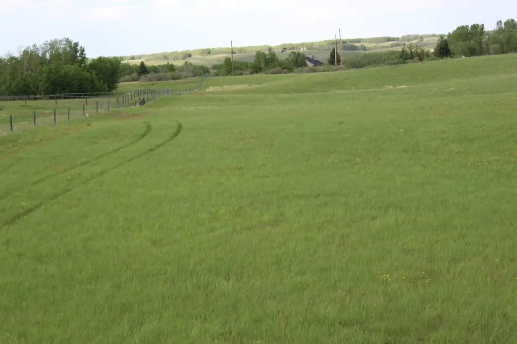 32079 Willow Way Rural Rocky View County AB T4C 2Y4