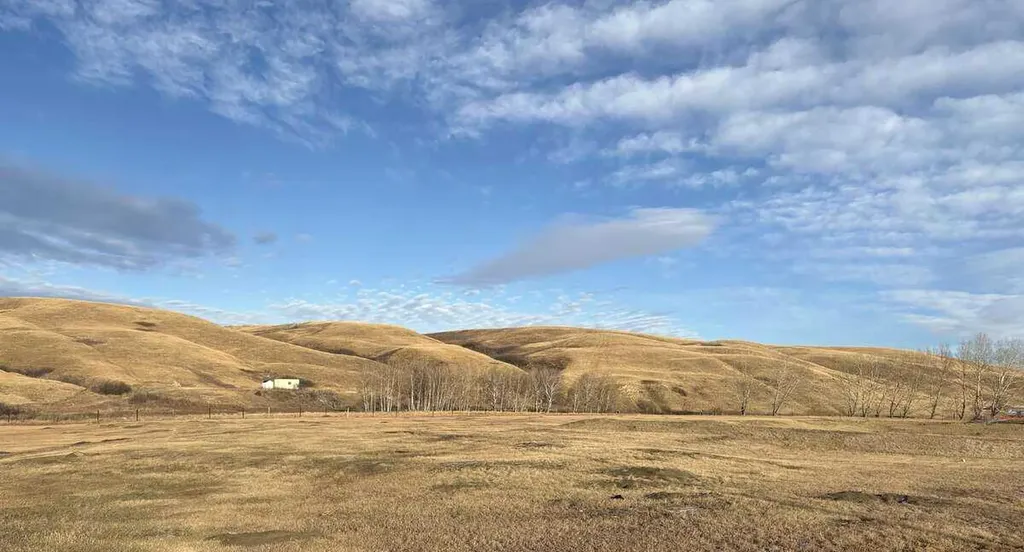8 Diamond Valley Close Rural Kneehill County AB T0M 0L0