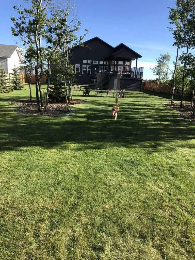 10522 101 Avenue Sexsmith AB T0H 3C0