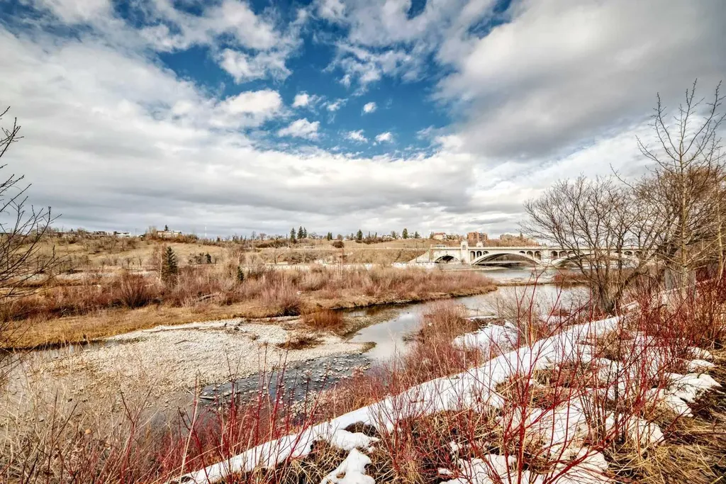 51 Waterfront Mews SW Calgary AB T2P0X3