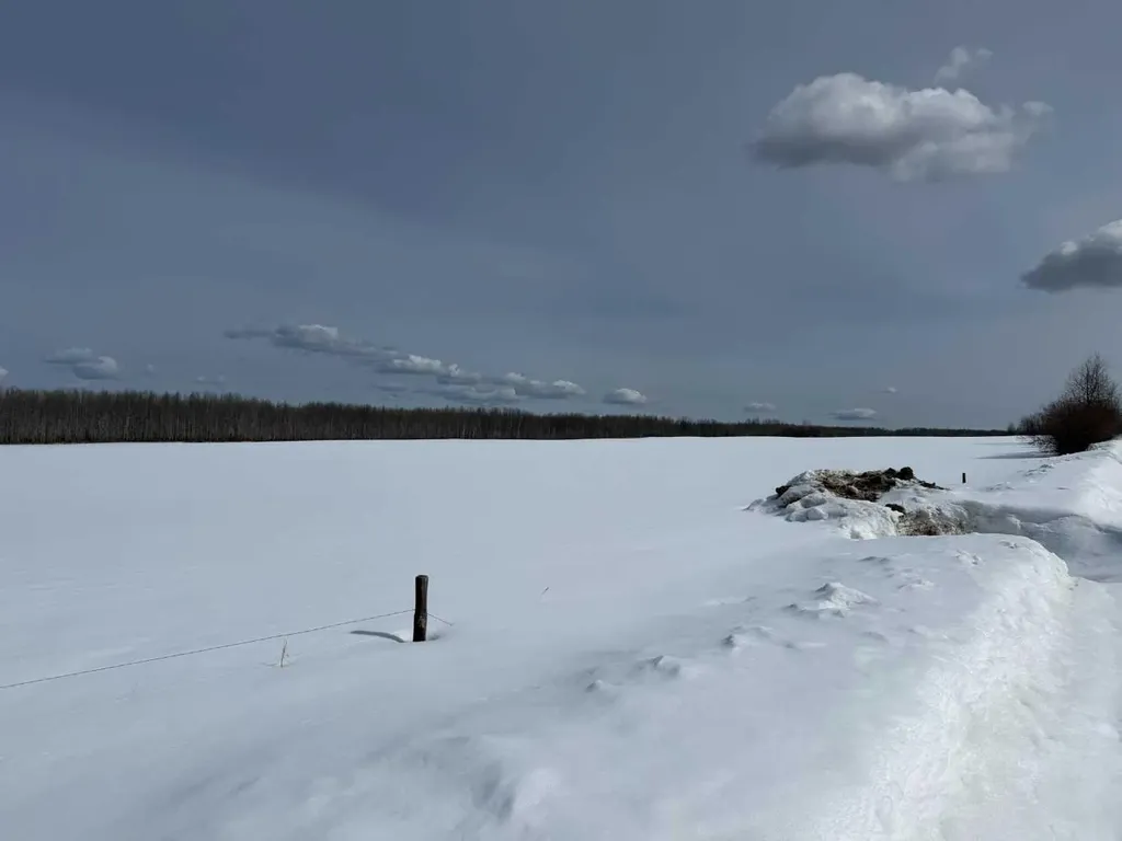 Township Road 820 Rural Northern Sunrise County AB T0H 1W0