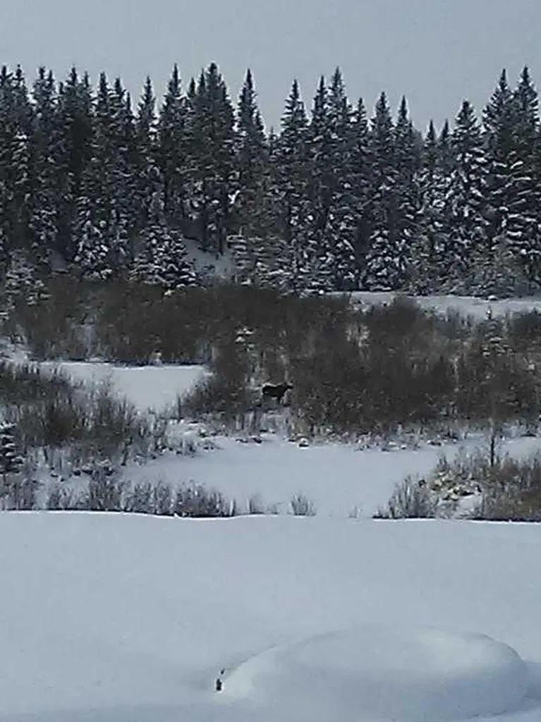 55001 Township Road 40-0 Rural Clearwater County AB T4T 2A1