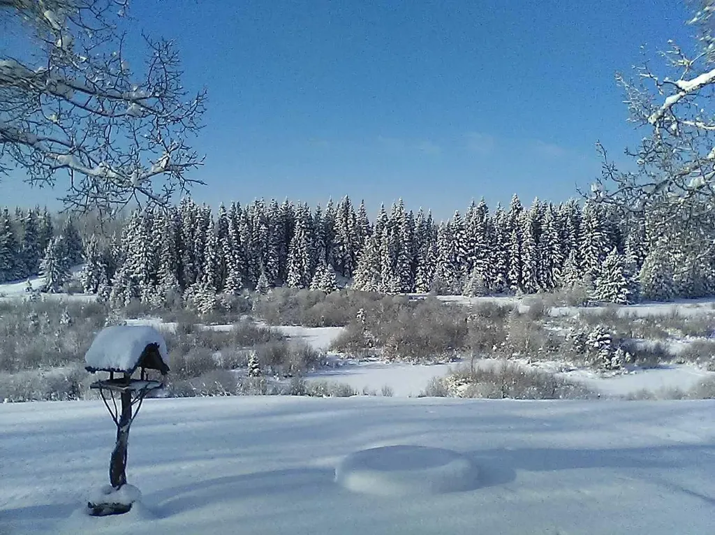 55001 Township Road 40-0 Rural Clearwater County AB T4T 2A1