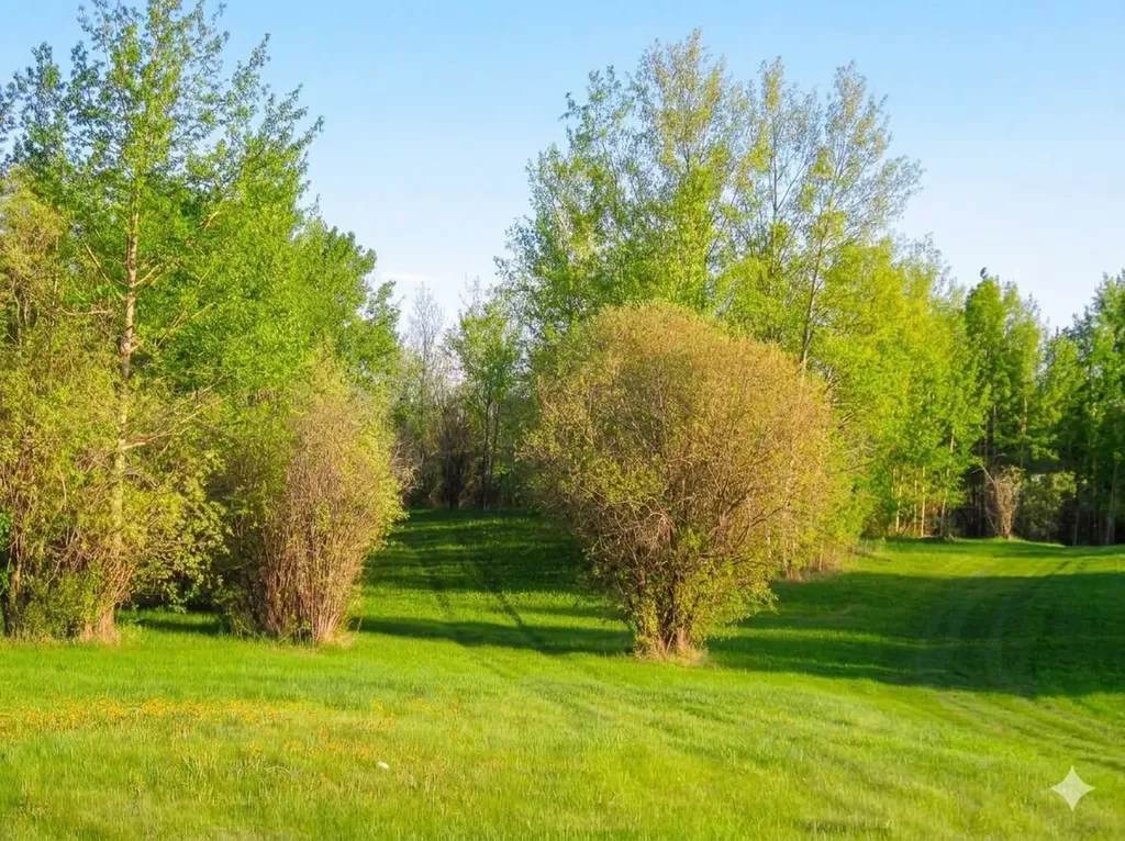 50124 Range Road 203 Rural Beaver County AB T0B 4J2