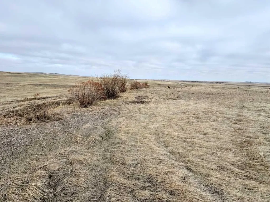 On 252 Range Rural Cardston County AB T0K 1Y0