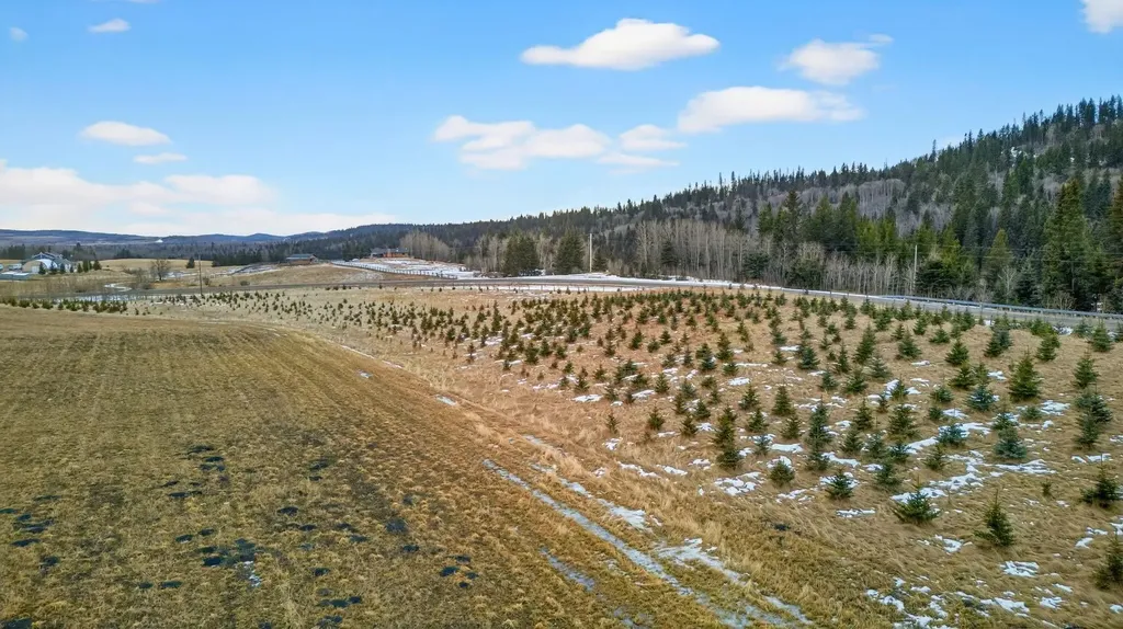 Parkins Road Rural Foothills County AB T0L 1K0