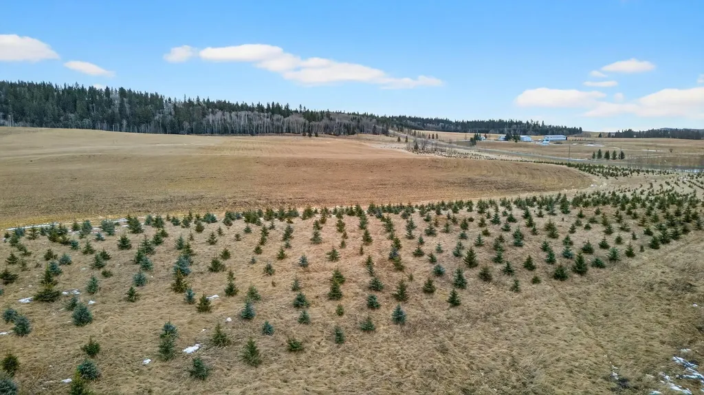 Parkins Road Rural Foothills County AB T0L 1K0