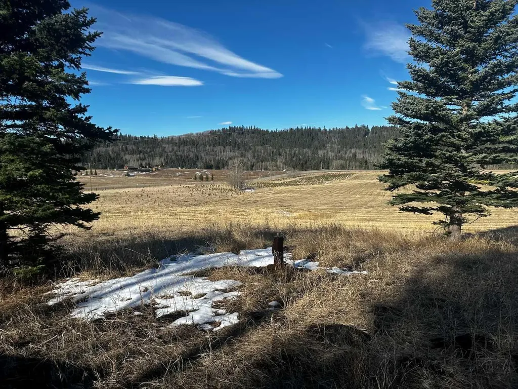 Parkins Road Rural Foothills County AB T0L 1K0