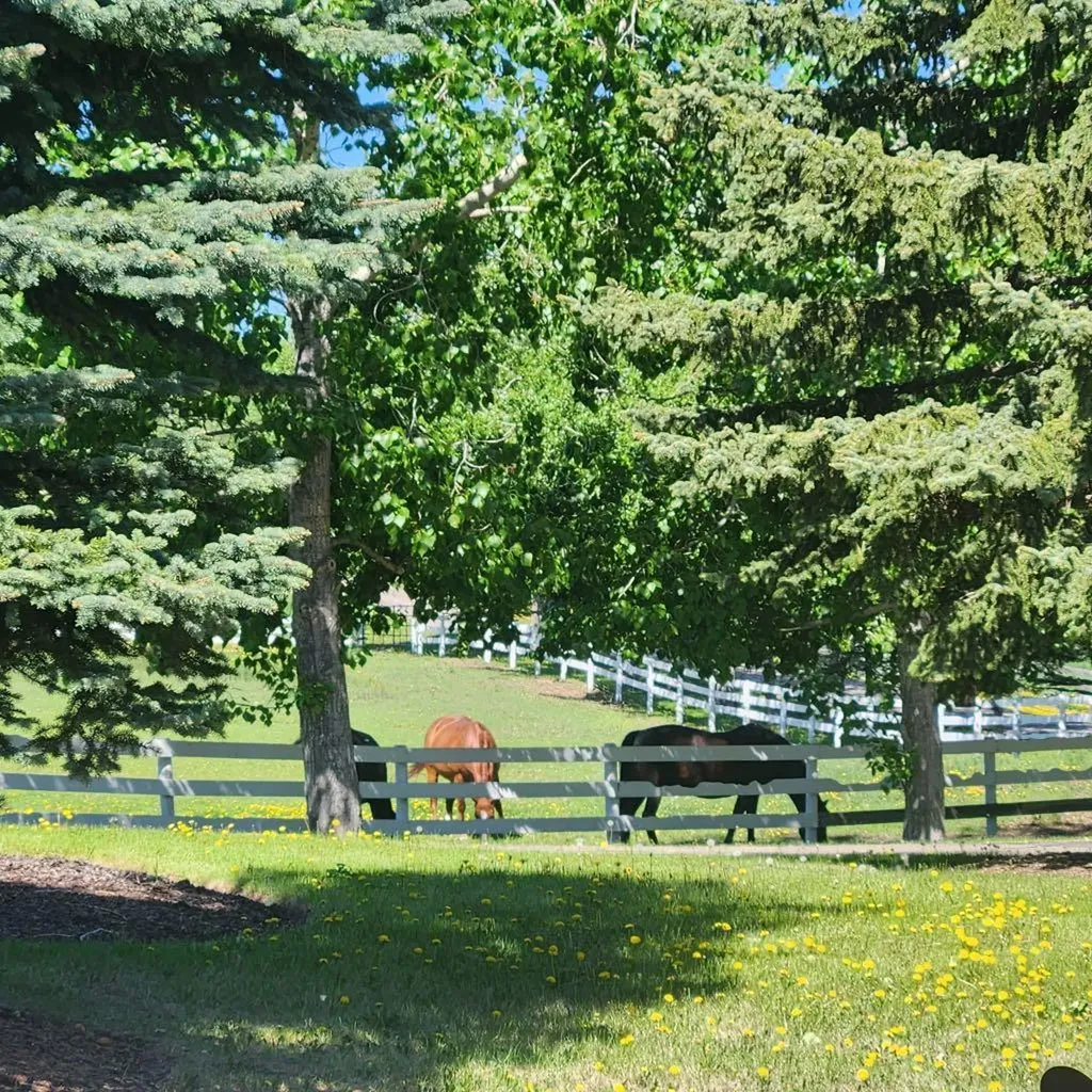 260048 Bearspaw Road Rural Rocky View County AB T3R1H4
