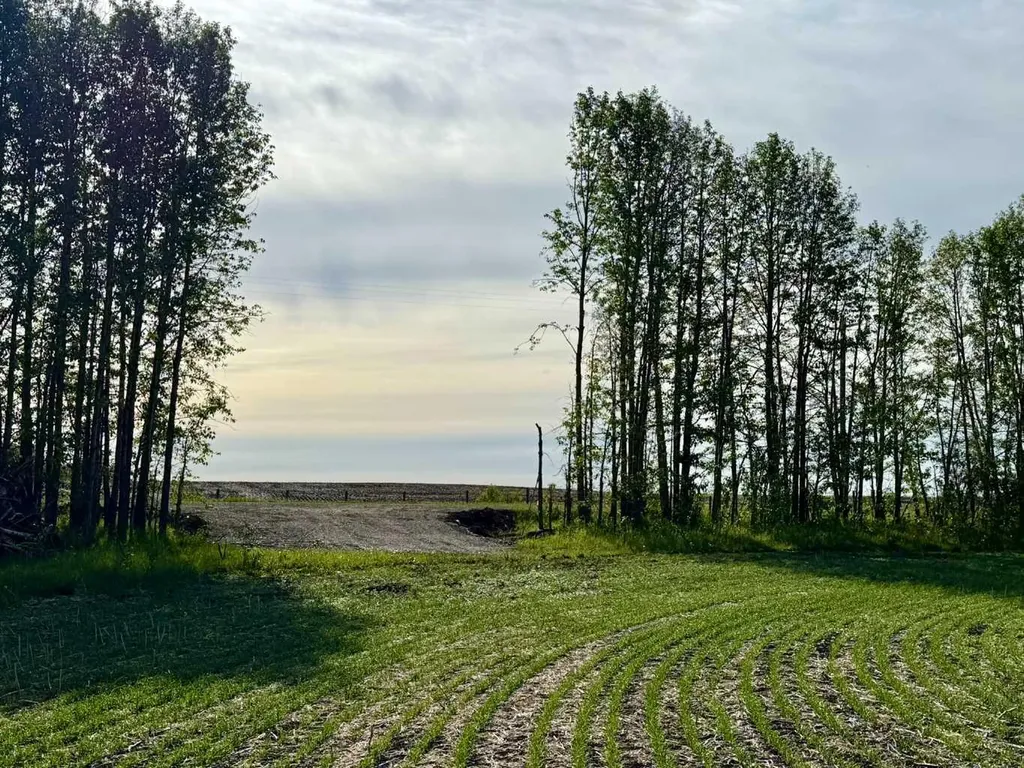 30440 Range Road 35 Rural Mountain View County AB T0M 0R0
