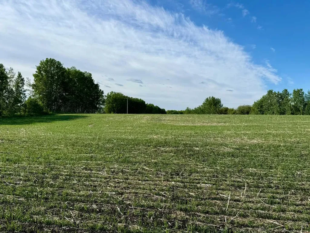 30440 Range Road 35 Rural Mountain View County AB T0M 0R0
