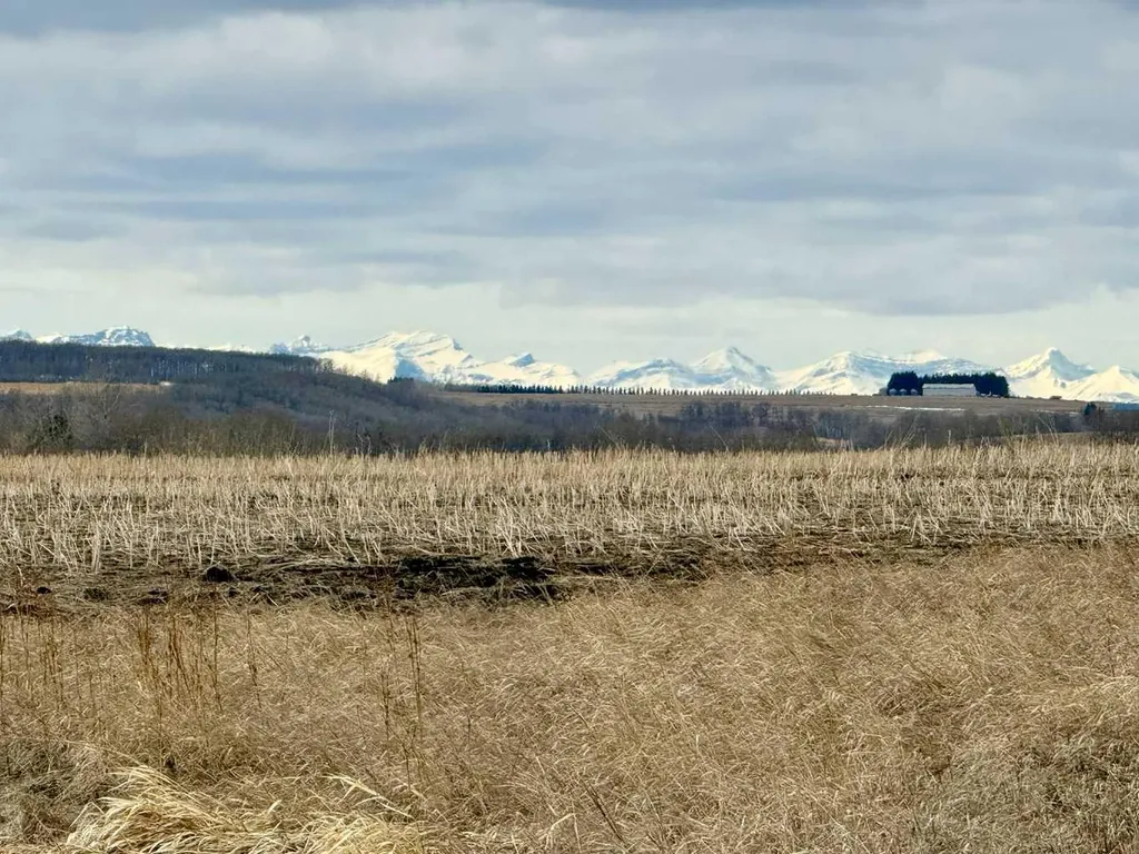 Rr 35 North Of Twp 304 Rural Mountain View County AB T0M 0R0