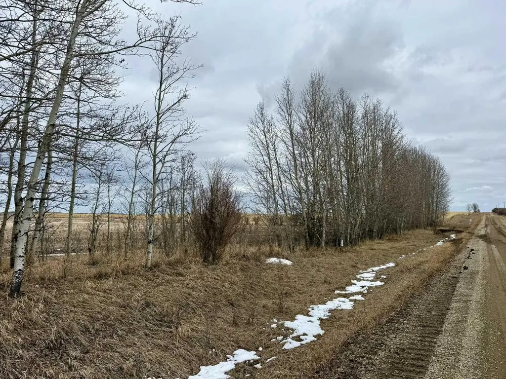 Rr 35 North Of Twp 304 Rural Mountain View County AB T0M 0R0