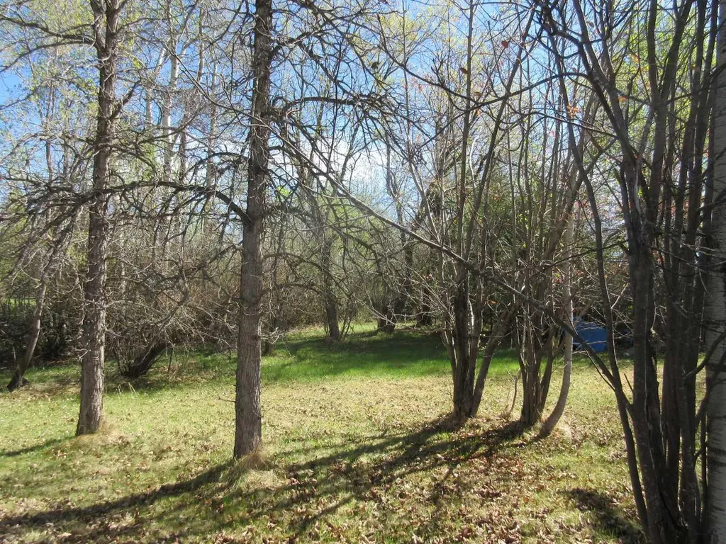 71037 Township Road 39-3 Rural Clearwater County AB T0M 0C0