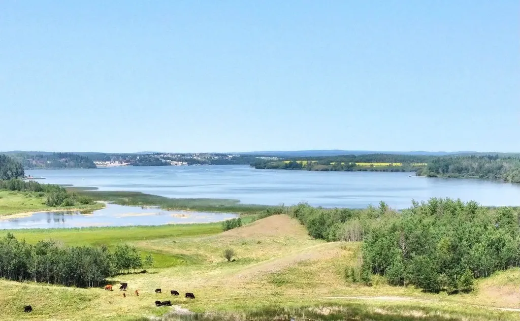 36044 Rr 245 Rural Red Deer County AB T0M 1S0