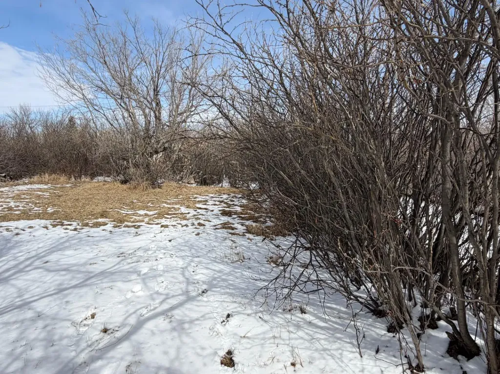 128 7th Avenue Gleichen AB T0J 1N0
