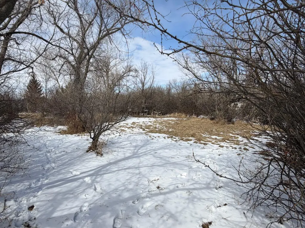 128 7th Avenue Gleichen AB T0J 1N0