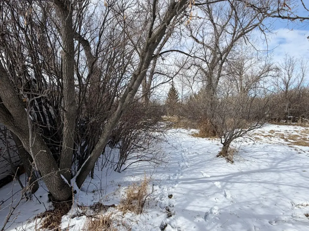 128 7th Avenue Gleichen AB T0J 1N0