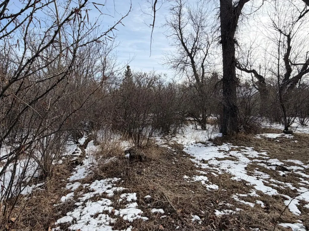 128 7th Avenue Gleichen AB T0J 1N0
