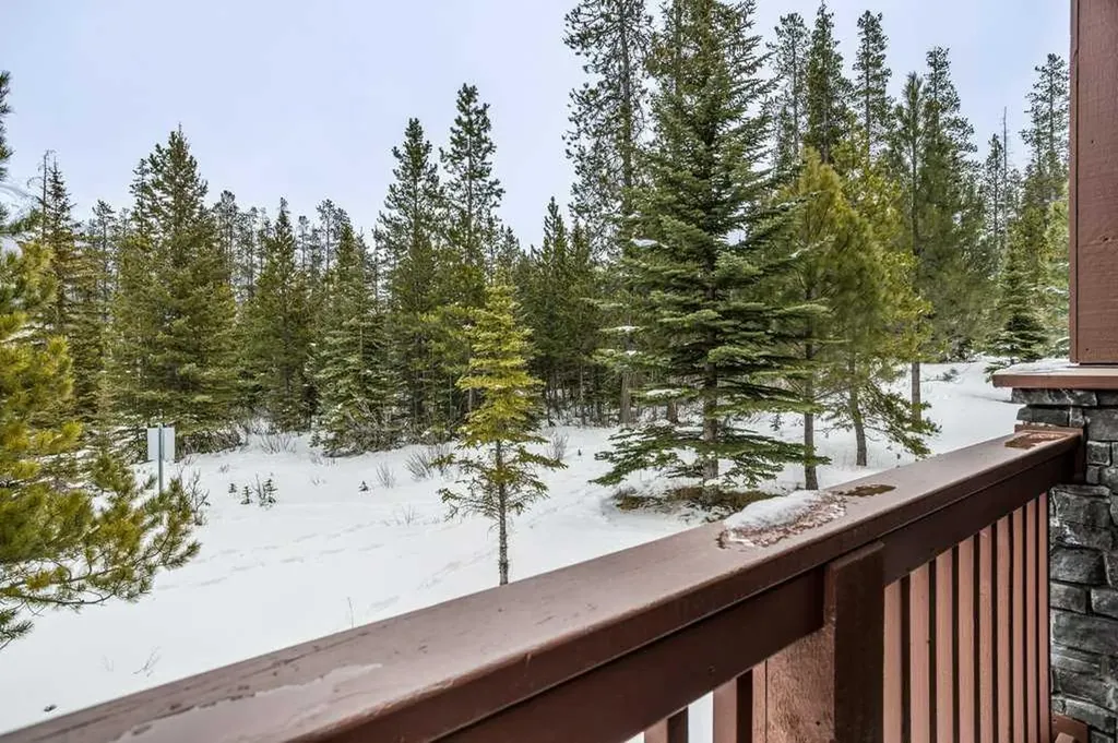 70 Dyrgas Gate Canmore AB T1W 3J6