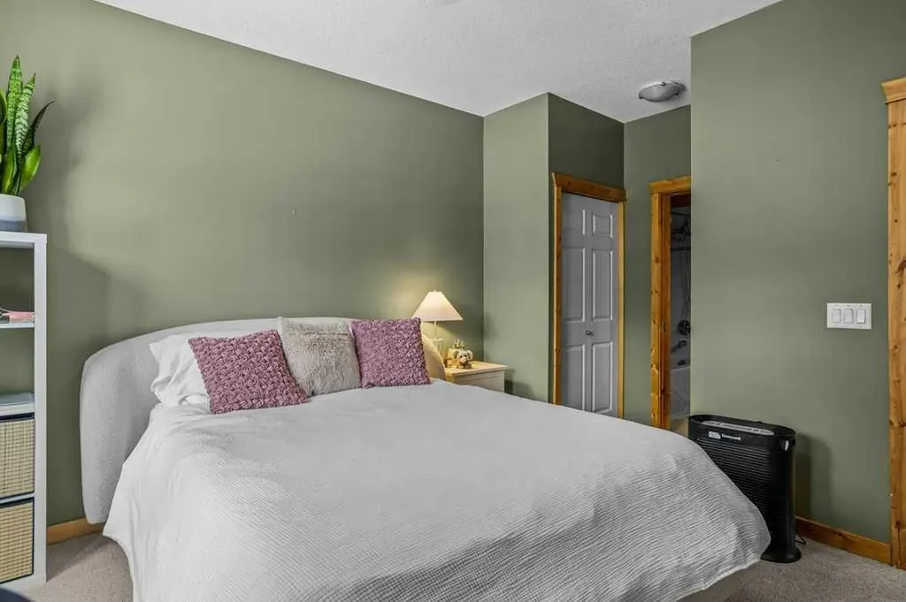 70 Dyrgas Gate Canmore AB T1W 3J6