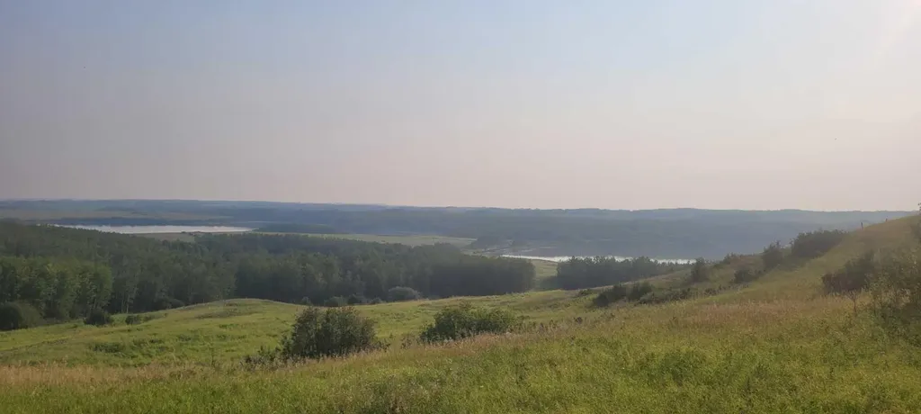 25054 South Pine Lake Road Rural Red Deer County AB T0M 1R0