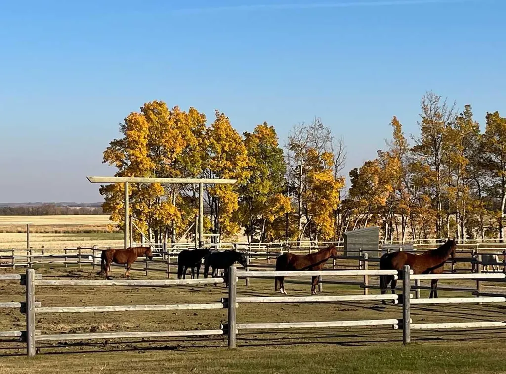 34126 Range Road 20 Rural Red Deer County AB T0M 0K0