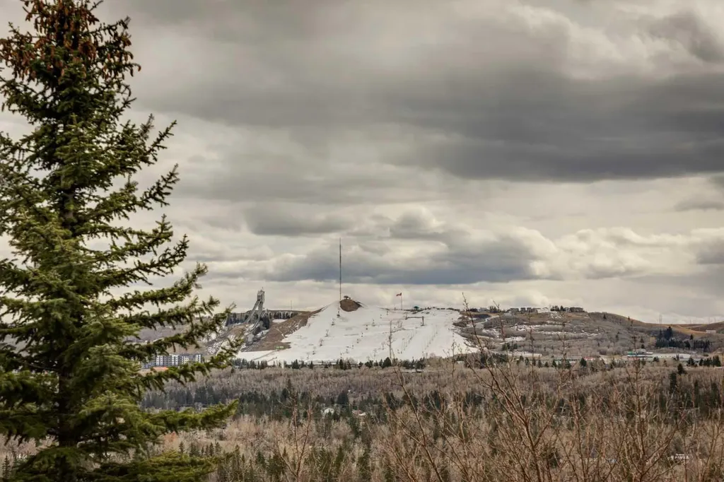 58 Scimitar View NW Calgary AB T3L 2B5