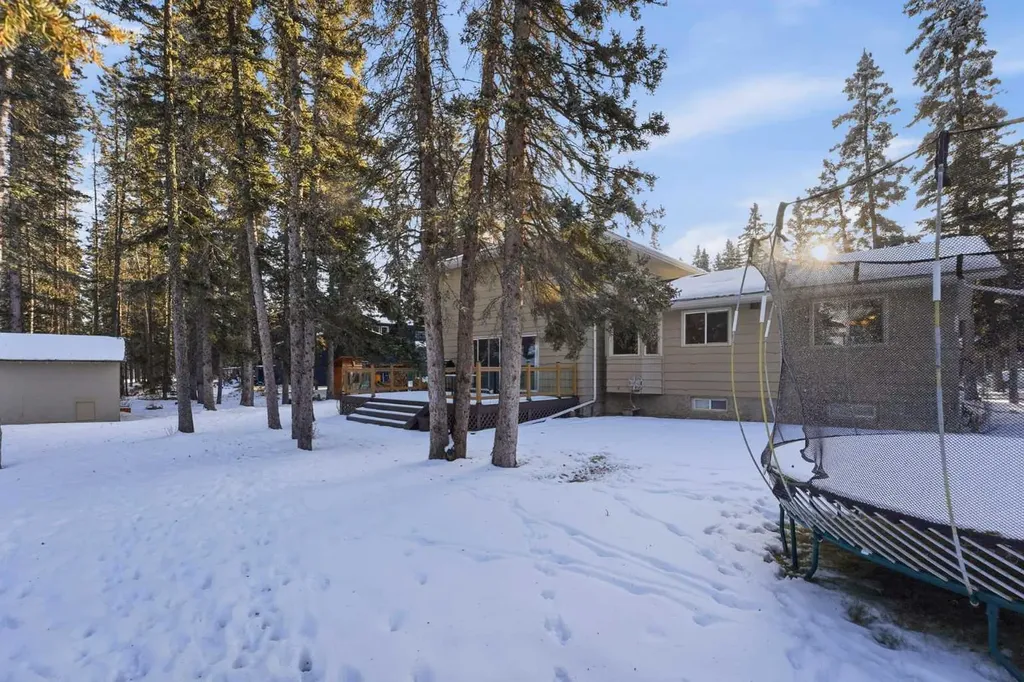 38 Wolf Drive Rural Rocky View County AB T3Z 1A3