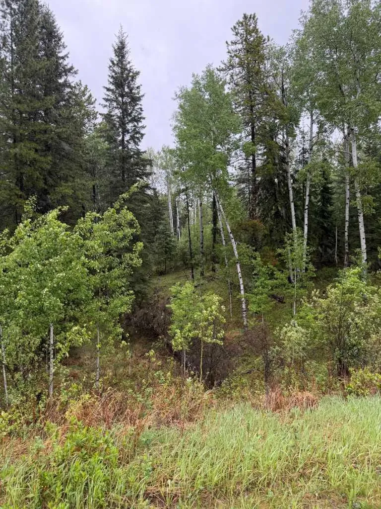 514 Clearwater Estates Crescent Rural Clearwater County AB T4T 2A2