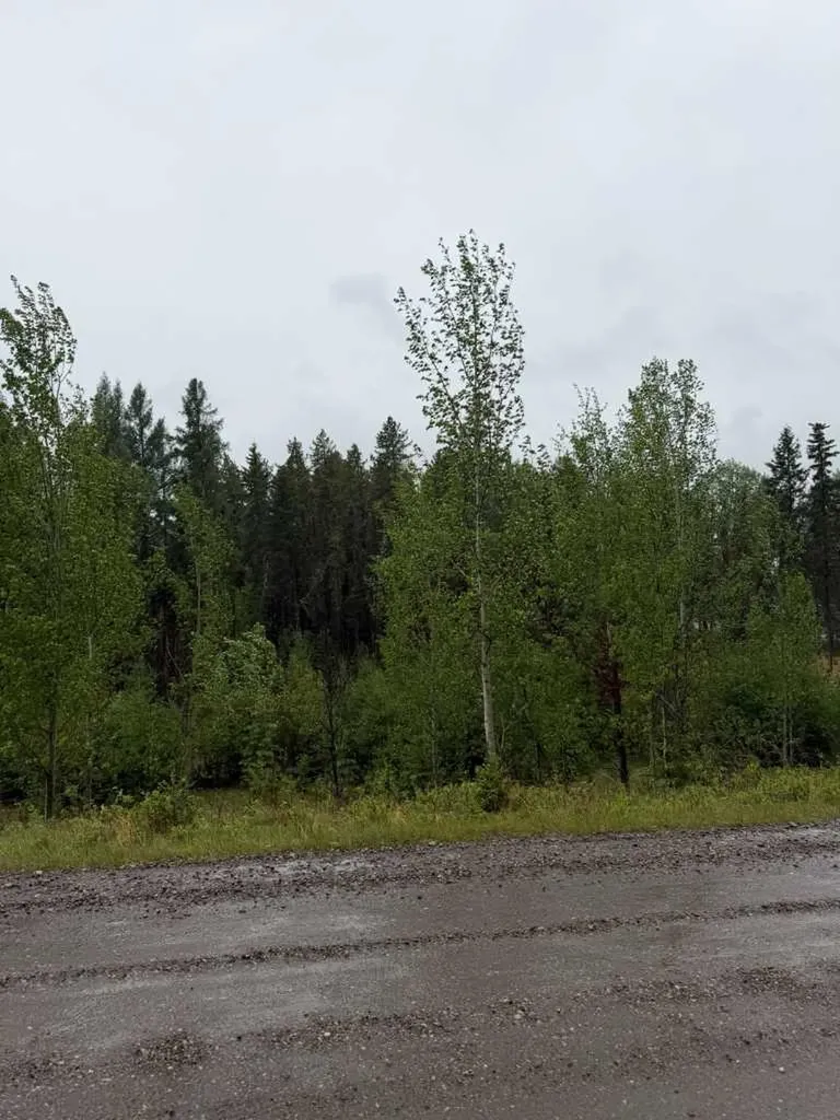 505 Clearwater Estates Crescent Rural Clearwater County AB T4T 2A2
