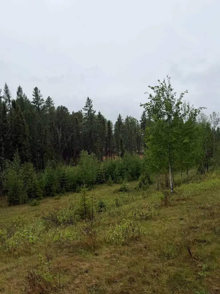 505 Clearwater Estates Crescent Rural Clearwater County AB T4T 2A2