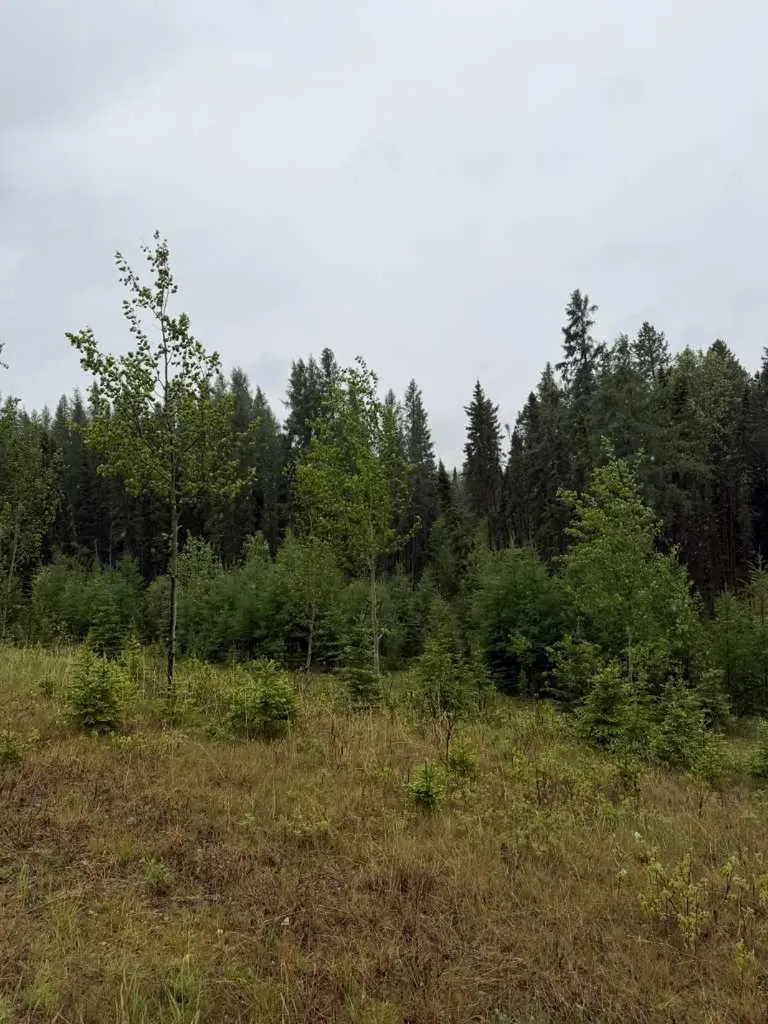 505 Clearwater Estates Crescent Rural Clearwater County AB T4T 2A2